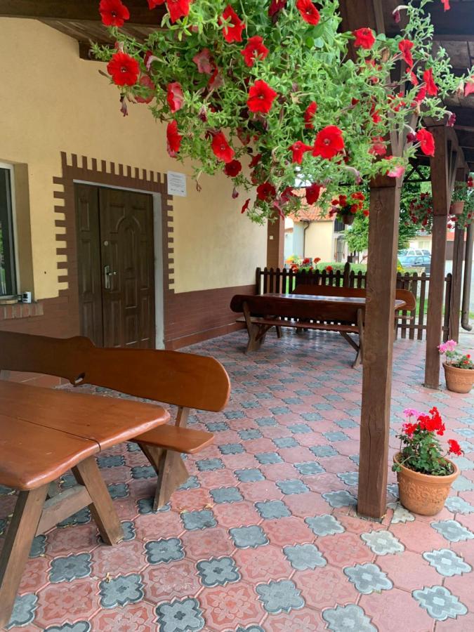Noclegi Ciesiul Orneta Exterior foto